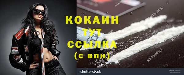 mix Горняк