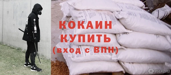 PSILOCYBIN Майский