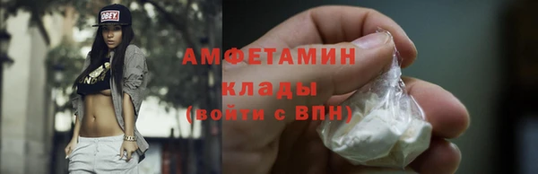 мдпв Магас