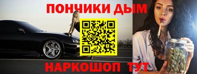 спиды Гай