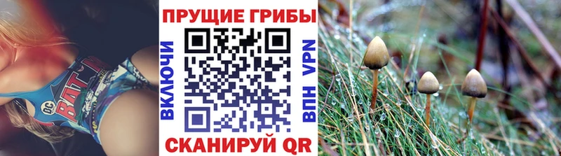 купить  цена  Дальнереченск  Псилоцибиновые грибы мухоморы 