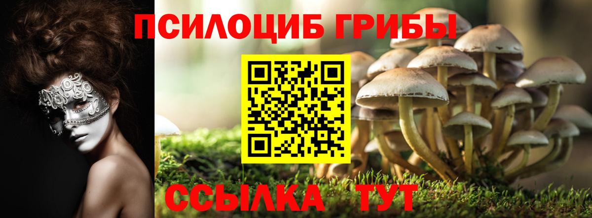 Галлюциногенные грибы Psilocybine cubensis Дальнереченск